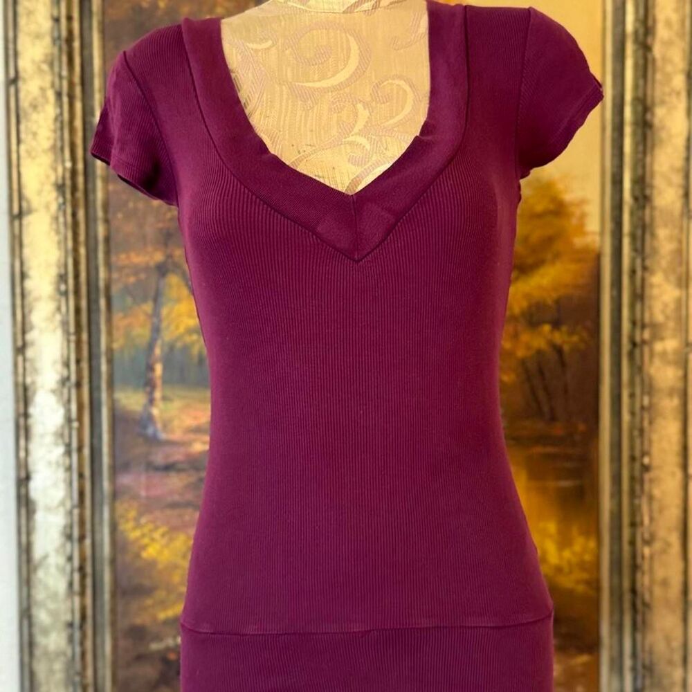 Decree Women's Burgundy and Purple T-shirt